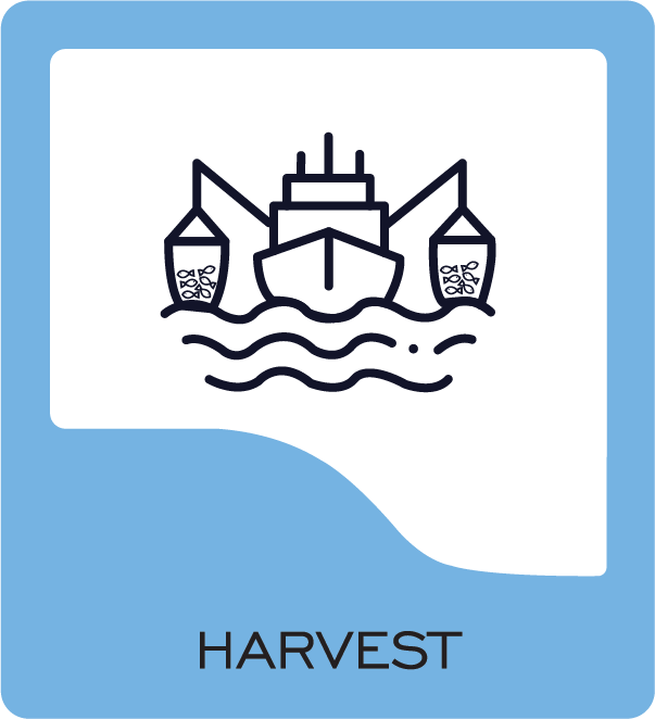 harvest